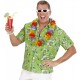 CAMISA HAWAIANA VERDE