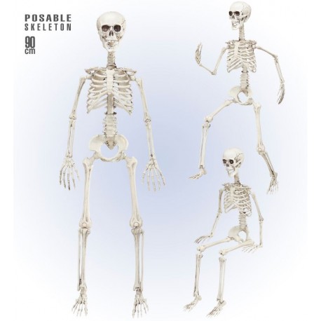 ESQUELETO POSABLE 90 CM